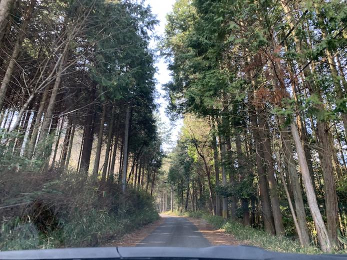 伐株山の山頂までは車で行けますが、途中、細い山道も通るのでゆっくり安全運転で！