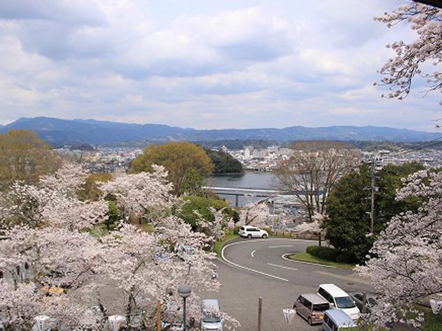 &lt;font color=&quot;#EE82EE&quot;&gt;&lt;strong&gt;鏡坂公園&lt;/strong&gt;&lt;/font&gt;（日田市）&lt;br&gt;市内が一望できる高台に位置する公園です。桜はもちろんのこと、遠くの山から、市内を悠々と流れる三隈川まで、日田の素敵な風景を桜と共に独り占めできる桜スポットです。&lt;hr&gt;&lt;span style=&quot;font-size:14px;&quot;&gt;【DATA】&lt;br /&gt; 花の種類／桜&lt;br&gt;見頃／4月上旬&lt;br&gt;住所／日田市上野上野町&lt;br&gt;電話／0973-22-2036（日田市観光協会）&lt;br&gt;駐車場／あり&lt;br&gt;アクセス／日田ICから車で約10分&lt;br&gt;&lt;a href=&quot;https://www.city.hita.oita.jp/soshiki/doboku/toshiseibika/koenryokuchi/koen/3366.html&quot; target=&quot;_blank&quot;&gt;&lt;font color=&quot;#0033ff&quot;&gt;詳細はこちら&lt;/font&gt;&lt;/a&gt;&lt;/span&gt;