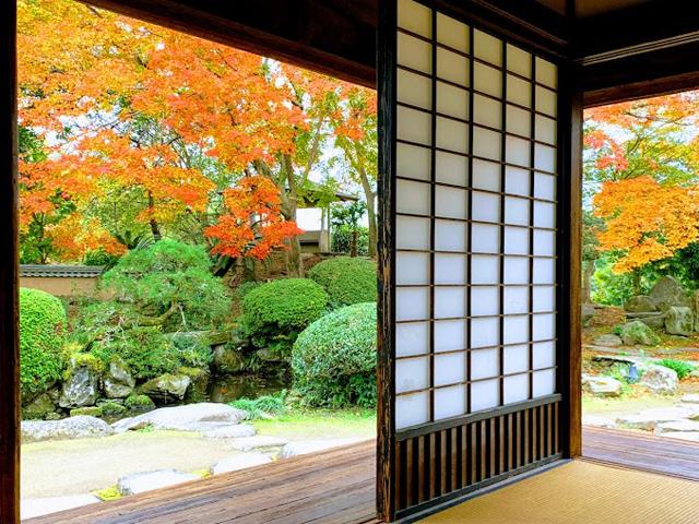 &lt;font color=&quot;#800000&quot;&gt;&lt;strong&gt;杵築武家屋敷&lt;/strong&gt;&lt;/font&gt;（杵築市）&lt;br&gt;城下町杵築には趣ある武家屋敷が建ち並び、見学や抹茶などが楽しめます。紅葉の時期の庭園はより一層情緒ある佇まいとなり、屋敷から見る景色はインスタ映え間違いなし！ レンタル着物を着ての城下町散歩もおすすめです。&lt;br&gt;&lt;hr&gt;&lt;span style=&quot;font-size:14px;&quot;&gt;【DATA】&lt;br /&gt; 住所／杵築城下町一帯&lt;br&gt;電話／0978-63-0100（杵築市観光協会）&lt;br&gt;駐車場／公共P利用（大型バス可）&lt;br&gt;見頃／11月中旬～11月下旬&lt;br&gt;アクセス／杵築ICから車で約5分&lt;br&gt;&lt;a href=&quot;https://kit-suki.com/pages/35/&quot; target=&quot;_blank&quot;&gt;&lt;font color=&quot;#0033ff&quot;&gt;詳細はこちら&lt;/font&gt;&lt;/a&gt;&lt;/span&gt;&lt;br&gt;