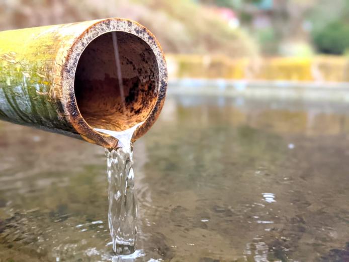 静かなお寺の空気を存分に味わいながら散策。