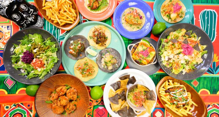 <span style="font-size:16px;"><a href="https://www.instagram.com/taconargo.beppu/"><span style="color:#C9F2E3;"><u> TACO NARGO </u></span></a><br ><span style="font-size:12px;"> 本格的なタコスがいただけるメキシコ料理店。スパイスも本場メキシコから輸入し、メニューによって使い分ける。大分らしい「とり天タコス」なども！</span><br /><span style="font-size:12px;"><span style="color:#FFFF00;">【スポット情報】</span><br />住所：大分県別府市北浜2-4-3<br />TEL：0977-80-1891<br />営業時間：11:00～LO14:00／18:00～LO22:00、土曜17:00～LO22:00、日曜・祝日17:00～LO21:00<br />定休日：火曜</span><br /><br>