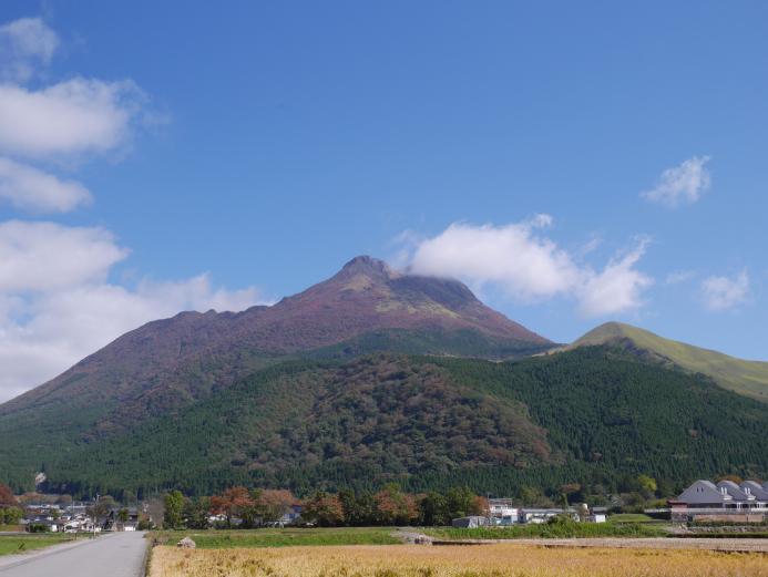 &lt;font color=&quot;#800000&quot;&gt;&lt;strong&gt;由布岳&lt;/strong&gt;&lt;/font&gt;（由布市）&lt;br&gt;由布院の北東部にそびえる標高1,583ｍの由布岳は、双耳峰を持つ美しく荘厳な姿から「豊後富士」と呼ばれ親しまれています。紅葉シーズンには、ヤマザクラ、ヤマモミジ、ハゼなどが色づき、遠くからでもその美しさが楽しめます。&lt;br&gt;&lt;hr&gt;&lt;span style=&quot;font-size:14px;&quot;&gt;【DATA】&lt;br /&gt; 住所／由布市湯布院町&lt;br&gt;電話／0977-84-2446（由布市ﾂｰﾘｽﾄｲﾝﾌｫﾒｰｼｮﾝｾﾝﾀｰ）&lt;br&gt;見頃／10月下旬～11月中旬&lt;br&gt;&lt;a href=&quot;https://yufuin.gr.jp/spot/spot-1270/&quot; target=&quot;_blank&quot;&gt;&lt;font color=&quot;#0033ff&quot;&gt;詳細はこちら&lt;/font&gt;&lt;/a&gt;&lt;/span&gt;