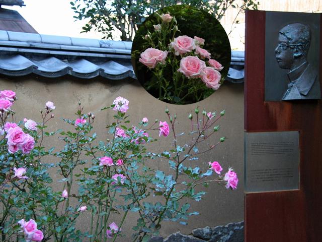 <font color="#EE82EE"><strong>瀧廉太郎記念館</strong></font>（竹田市）<br>「荒城の月」で知られる音楽家、瀧廉太郎が12歳から14歳までを過ごした居宅の一部を一般公開している記念館。瀧廉太郎が留学したドイツ・ライプツィヒ市にある「メンデルスゾーンハウス」の中庭に咲くバラが、ライプツィヒとの友情の証として植樹されています。<hr><span style="font-size:14px;">【DATA】<br /> 花の種類／バラ<br>見頃／4/20頃～5月のGW頃、9月～12月上旬<br>住所／竹田市竹田2120-1<br>電話／0974-63-0559<br>駐車場／あり<br>アクセス／竹田ICから車で5分<br><a href=" https://taketa.guide/spots/detail/4a1ac07d-b2ae-4358-a4a4-fd0e2b89695f " target="_blank"><font color="#0033ff">詳細はこちら</font></a></span>