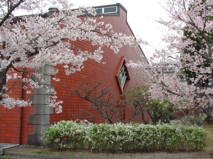 <font color="#EE82EE"><strong>いいちこ日田蒸留所</strong></font>（日田市）<br>麦焼酎「いいちこ」で知られる三和酒類がこだわりの酒を醸す蒸留所。春は200mに渡る「桜並木」があり、約150本の桜が花を咲かせます。<hr><span style="font-size:14px;">【DATA】<br /> 桜の種類／ソメイヨシノ、紅しだれ桜<br>見頃／3月下旬～4月上旬<br>住所／日田市西有田810-1<br>電話／0973-25-5600<br>駐車場／40台<br>アクセス／日田ICから車で約10分<br><a href="https://www.sanwa-shurui.co.jp/factory/" target="_blank"><font color="#0033ff">詳細はこちら</font></a></span>