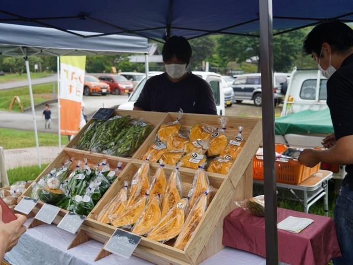 ▲臼杵石仏公園で毎月第１日曜に開かれる朝市「ひゃくすた」。有機野菜の購入や、朝ごはんが楽しめます
