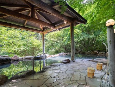 木々の中に立ち込める湯気が光彩となり、様々な輝きを見せてくれる