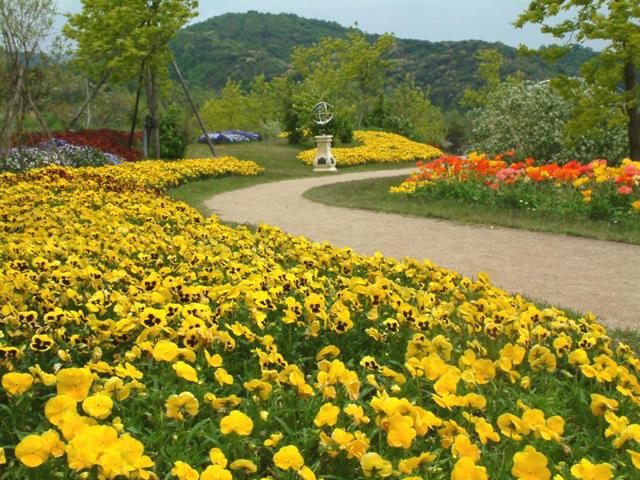 &lt;font color=&quot;#800080&quot;&gt;&lt;strong&gt;るるパーク 大分農業文化公園&lt;/strong&gt;&lt;/font&gt;（杵築市）&lt;br&gt;中央にダム湖を臨む、120haある緑豊かな公園。“知る・遊ぶ・憩う”をテーマに、四季折々の花々が楽しめるフラワーガーデンや子供たちが喜ぶ大型遊具、ボート、キャンプ場などがあり、のんびりと過ごせます。&lt;br&gt;&lt;span style=&quot;font-size:14px;&quot;&gt;&lt;strong&gt;&lt;hr&gt;【DATA】 &lt;/strong&gt;&lt;br /&gt; 住所／杵築市山香町大字日指1-1&lt;br&gt;電話／0977-28-7111&lt;br&gt;&lt;a href=&quot; https://www.oita-agri-park.or.jp/&quot; target=&quot;_blank&quot;&gt;&lt;font color=&quot;#0033ff&quot;&gt;詳細はこちら&lt;/font&gt;&lt;/a&gt;&lt;/span&gt;&lt;br&gt;&lt;br&gt;&lt;br&gt;