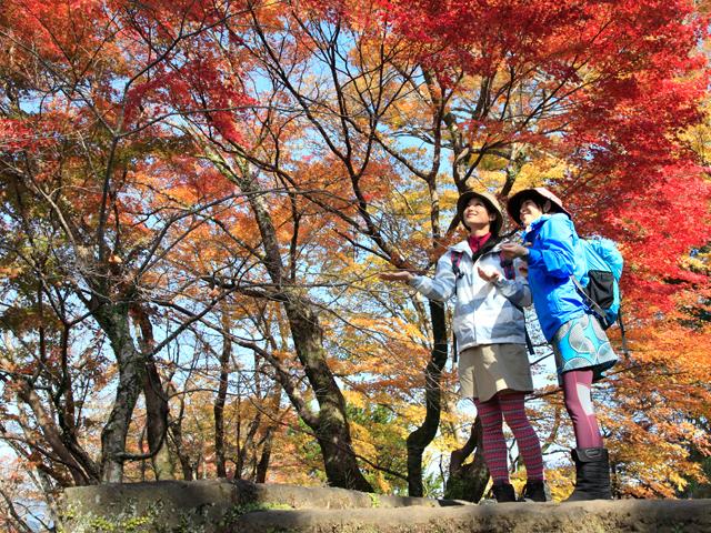 &lt;a href=&quot;https://www.visit-oita.jp/topics/detail/421&quot; target=&quot;_blank&quot;&gt;&lt;font color=&quot;#800080&quot;&gt;&lt;strong&gt;■ぐるり秋号 vol.67&lt;/strong&gt;&lt;/font&gt;&lt;br&gt;&lt;strong&gt;【特集】&lt;/strong&gt;&lt;br&gt;・秋の自然を愛でる旅「紅葉」&lt;br&gt;・秋の自然を愛でる旅「秋の花」&lt;br&gt;&lt;strong&gt;【移住者さんに聞く大分の魅力】&lt;/strong&gt;&lt;br&gt;・九重町、豊後高田市、杵築市、竹田市&lt;br&gt;&lt;br&gt;