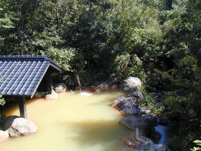 混浴の「こぶしの湯」と女性専用の「かえでの湯」に分かれる広々とした露天風呂。透明な源泉は空気に触れることで色が変化し、太陽の光で輝く黄金色の湯に。炭酸水素塩泉で「肌がなめらかになる」と男女ともに人気です。森の中で自然の緑に囲まれてゆったりとした時間を過ごすことができます。