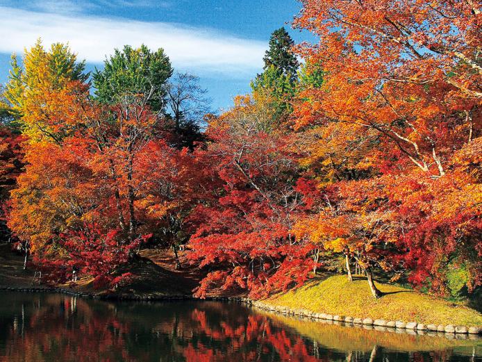 &lt;font color=&quot;#A52A2A&quot;&gt;&lt;strong&gt;用作公園&lt;/strong&gt;&lt;/font&gt;（豊後大野市）&lt;br&gt;心字池を中心に500本を超えるモミジやカエデなどが植えられ、県内屈指の紅葉名所として多くの観光客が訪れます。色鮮やかな紅葉が池に映る光景はとても幻想的です。&lt;hr&gt;&lt;span style=&quot;font-size:14px;&quot;&gt;【DATA】&lt;br /&gt;住所／豊後大野市朝地町上尾塚&lt;br&gt;電話／0974-72-1111（豊後大野市朝地支所）&lt;br&gt;駐車場／80台&lt;br&gt;見頃／11月上旬～11月下旬&lt;br&gt;M／D-4&lt;br&gt;アクセス／朝地ICから車で約10分&lt;br /&gt;&lt;a href=&quot;https://sato-no-tabi.jp/introduce/%E7%94%A8%E4%BD%9C%E5%85%AC%E5%9C%92/&quot; target=&quot;_blank&quot;&gt;&lt;font color=&quot;#0033ff&quot;&gt;詳細はこちら&lt;/font&gt;&lt;/a&gt;&lt;/span&gt;&lt;br&gt;&lt;br&gt;&lt;br&gt;