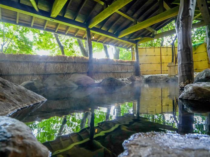 <span style="font-size:18px;"><a href="https://www.visit-oita.jp/spots/detail/9406"target="_blank"><font color="#0033ff">名水の宿 宝珠屋</font></a></span>