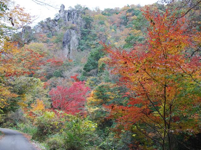 &lt;font color=&quot;#800000&quot;&gt;&lt;strong&gt;宇戸渓谷&lt;/strong&gt;&lt;/font&gt;（玖珠町）&lt;br&gt;平らで滑らかな一枚岩が川底に続く、たいへん珍しい渓谷。それに続く山道からは、鮮やかな赤、黄色に色づいた紅葉を見ることができます。紅葉を見ながらのんびり散策を楽しんでみては。&lt;br&gt;&lt;hr&gt;&lt;span style=&quot;font-size:14px;&quot;&gt;【DATA】&lt;br /&gt; 住所／玖珠町大字森字谷の河内4398-2&lt;br&gt;電話／0973-72-1313（玖珠町観光協会）&lt;br&gt;見頃／11月上旬～11月中旬&lt;br&gt;&lt;a href=&quot;https://yabakei-yuran.jp/spots/1873/&quot; target=&quot;_blank&quot;&gt;&lt;font color=&quot;#0033ff&quot;&gt;詳細はこちら&lt;/font&gt;&lt;/a&gt;&lt;/span&gt;