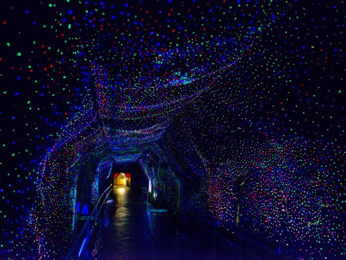 <font color="#800080"><strong>地底博物館 鯛生金山</strong></font>（日田市）<br>1972年に閉山した金山の坑道を利用して作られた『鯛生金山』は、入口から800mほどの距離を見学できる地底博物館。館内では坑道の模型をそのまま残し、採掘の様子を人形や模型でリアルに再現しています。坑道内を散策した後は、ゴールドハンティング(砂金採り)に挑戦してみては？<hr><span style="font-size:14px;"><strong>【DATA】</strong><br />住所／日田市中津江村合瀬3750<br>電話／0973-56-5316<br>営業時間／9:00～17:00 ※12～2月は10:00～16:30<br>休み／公式HPを要確認<br>料金／大人1,100円、中高生880円、小学生550円 ※セット料金やシニア割引あり<br>駐車場／130台<br>交通アクセス／日田ICから車で約1時間、JR日田駅から車で約52分<br ><a href=" https://taiokinzan.jp/ " target="_blank"><font color="#0033ff">詳細はこちら</font></a></span><br><br>