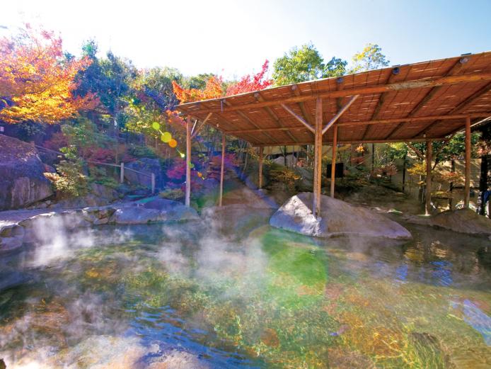 八面山の中腹に湧く温泉館の大露天風呂は、春夏秋冬の風情ある庭園に囲まれており、200平方メートルと広々。寝湯、打たせ湯、洞窟風呂など趣向を凝らした露天風呂が男女合わせて9つあり、存分に湯めぐりを楽しめます。開放的な内湯大浴場でも四季の風景を堪能でき、入る時間によって趣が異なるのも大きな魅力です。