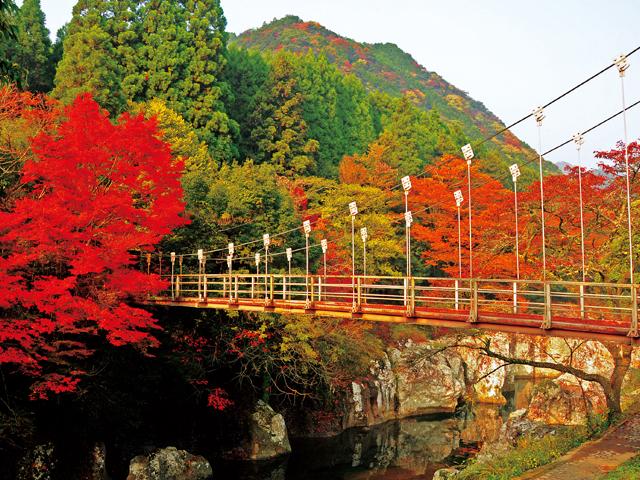 &lt;font color=&quot;#800000&quot;&gt;&lt;strong&gt;猿飛千壺峡&lt;/strong&gt;&lt;/font&gt;（中津市）&lt;br&gt;山国川の川床一帯に、自然の厳しい渓流が造り上げた大小無数の甌穴が約2kmにわたって広がる峡底。下流に名勝「魔林峡」や「念仏橋」があり、山国の「高千穂」とも称される魔林峡は四季折々の神秘的な美しさを見せてくれ、多くの人を魅了しています。&lt;br&gt;&lt;hr&gt;&lt;span style=&quot;font-size:14px;&quot;&gt;【DATA】&lt;br /&gt; 住所／中津市山国町草本&lt;br&gt;電話／0979-62-3111（中津市山国支所）&lt;br&gt;見頃／10月下旬～11月中旬&lt;br&gt;&lt;a href=&quot;https://nakatsuyaba.com/pages/349/&quot; target=&quot;_blank&quot;&gt;&lt;font color=&quot;#0033ff&quot;&gt;詳細はこちら&lt;/font&gt;&lt;/a&gt;&lt;/span&gt;