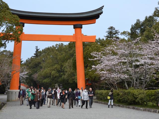 <font color="#EE82EE"><strong>宇佐神宮</strong></font>（宇佐市）<br>宇佐神宮は、全国に4万社あまりある八幡社の総本宮。春には約500本のソメイヨシノが、夏には蓮の花が咲き誇り、四季折々の風情を楽しむことができます。<hr><span style="font-size:14px;">【DATA】<br /> 桜の種類／ソメイヨシノ<br>見頃／3月下旬～4月上旬<br>住所／宇佐市大字南宇佐2859<br>電話／0978-37-0001<br>駐車場／130台<br>アクセス／宇佐ICから車で約15分<br><a href="http://www.usajinguu.com/" target="_blank"><font color="#0033ff">詳細はこちら</font></a></span>