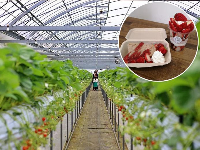 ▲100g300円ほどで持ち帰りも可能です