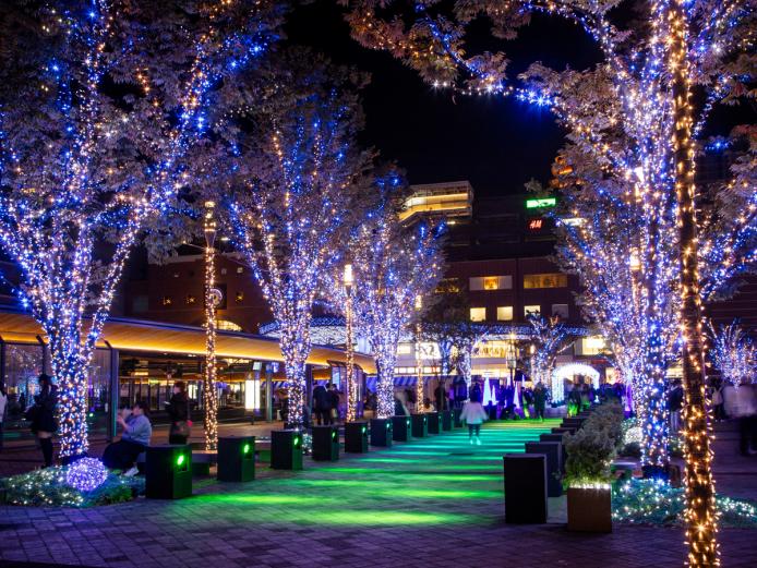 &lt;a href=&quot; https://www.visit-oita.jp/topics/detail/577#night&quot;target=&quot;_blank&quot;&gt;&lt;font color=&quot;#0033ff&quot;&gt;【ミッドナイトおおいた】&lt;br&gt;夜も冷めないおもてなし&lt;/font&gt;&lt;br&gt;大分を彩る幻想的な夜景スポットをご紹介。きらめく光の中で、特別な想い出を作りませんか。&lt;/a&gt;