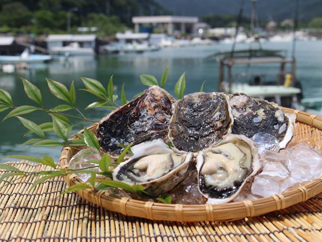 <font color="#800080"><strong>第9回 日豊海岸 岩ガキまつり </strong></font><br>毎年恒例「日豊海岸 岩ガキまつり」を今年も開催中です！日豊海岸の岩ガキは、一般の岩ガキと比べ大粒で濃厚・クリーミーな味わいになるのが特徴です。また養殖の岩ガキは、天然の岩ガキと同じ栄養素を吸収して育つものの、生産者が貝掃除を繰り返し行うため成長が早く、殻に比べて身の大きさも約2倍にもなると言われています。夏に最高の旬を迎える「日豊海岸の岩ガキ」をぜひ、ご賞味ください！<hr><span style="font-size:14px;">【DATA】<br >期間／開催中～8月31日（木）<br>場所／佐伯市内13店舗<br>問合せ／0972-23-3400（佐伯市観光案内所）<br><a href=" https://www.visit-saiki.jp/events/detail/5e5035ff-5d4b-40a6-9a97-6e447154ef4c" target="_blank"><font color="#0033ff">詳細はこちら</font></a></span><br><br>