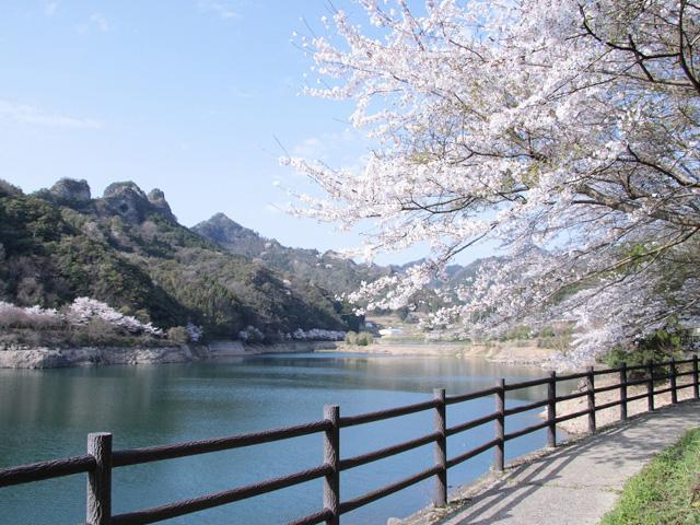 <font color="#EE82EE"><strong>並石ダムグリーンランド</strong></font>（豊後高田市）<br>「こっとん村」と呼ばれ親しまれている「並石ダムグリーンランド」は、ダムの周辺をぐるりとまわることができます。約500本で鮮やかに飾られた桜が3月下旬から見ごろを迎えます。<hr><span style="font-size:14px;">【DATA】<br /> 花の種類／桜<br>見頃／4月上旬<br>住所／豊後高田市一畑1587<br>電話／0978-27-3045（里の駅 こっとん村）<br>駐車場／100台<br>アクセス／速見ICから車で約40分<br><a href="https://www.showanomachi.com/spots/detail/157" target="_blank"><font color="#0033ff">詳細はこちら</font></a></span>