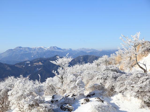 &lt;font color=&quot;#800080&quot;&gt;&lt;strong&gt;地上とは別世界! 鶴見岳山上の雪景色 &lt;/strong&gt;&lt;/font&gt;&lt;br&gt;標高1,375mの鶴見岳山上まで約1 0 分間の空中散歩が楽しめる、西日本最大級の別府ロープウェイ。山上からは、別府湾や由布岳、くじゅう連山、さらには四国地方を一望する絶景が広がります。四季折々に姿を変える自然美を求めて、多くの観光客の方たちがカメラ片手に訪れており、12月上旬～3月中旬頃までは、気象条件が揃えば美しい「霧氷」が一面に広がる銀世界を楽しむことができます。&lt;br&gt;&lt;span style=&quot;font-size:14px;&quot;&gt;【DATA】&lt;br &gt;場所：別府鶴見岳山上（別府市大字南立石字寒原10-7）&lt;br&gt;料金：大人1,600円、小人800円&lt;br&gt;問合せ：0977-22-2278（別府ロープウェイ） &lt;br&gt;&lt;a href=&quot;https://www.beppu-ropeway.co.jp/&quot; target=&quot;_blank&quot;&gt;&lt;font color=&quot;#0033ff&quot;&gt;詳細はこちら&lt;/font&gt;&lt;/a&gt;&lt;/span&gt;&lt;br&gt;&lt;br&gt;