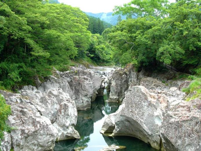 &lt;font color=&quot;#4682b4&quot;&gt;&lt;strong&gt;猿飛千壺峡 &lt;/strong&gt;&lt;/font&gt;（中津市）&lt;br&gt;山国川の清流と河床一帯に広がる変朽安山岩、小さな石ころの三位一体で生まれた自然の造形物で、国指定天然記念物に指定されています。自然の激しい渓流が造りあげた大小無数の甌穴が峡底に広がり、清流の眺望が楽しめます。&lt;br&gt;&lt;hr&gt;&lt;span style=&quot;font-size:14px;&quot;&gt;【DATA】&lt;br /&gt;住所／中津市山国町草本&lt;br&gt;電話／0979-62-3111（中津市山国支所地域振興課）&lt;br&gt;駐車場／36台&lt;br&gt;アクセス／日田ICから車で約30分&lt;br /&gt;&lt;a href=&quot;https://nakatsuyaba.com/?introduce=sarutobi&quot; target=&quot;_blank&quot;&gt;&lt;font color=&quot;#0033ff&quot;&gt;詳細はこちら&lt;/font&gt;&lt;/a&gt;&lt;/span&gt;&lt;br&gt;&lt;br&gt;