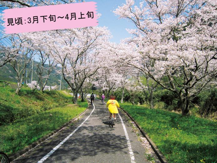 &lt;font color=&quot;#ff6633&quot;&gt;&lt;strong&gt;ﾒｲﾌﾟﾙ耶馬ｻｲｸﾘﾝｸﾞﾛｰﾄﾞ&lt;/strong&gt;&lt;/font&gt;（中津市）&lt;br&gt;日本遺産「やばけい遊覧」にも登場する景勝地に沿った、全長約36kmの風光明媚なサイクリングコース。春には桜のトンネルが沿道を彩ります。&lt;br&gt;&lt;hr&gt;&lt;span style=&quot;font-size:14px;&quot;&gt;【DATA】&lt;br /&gt;住所／中津駅～旧守実温泉駅&lt;br&gt;電話／0979-54-2700（耶馬溪サイクリングターミナル）&lt;br&gt;アクセス／中津ICまたは玖珠ICから車で約35分&lt;br /&gt;&lt;a href=&quot;https://nakatsuyaba.com/?introduce=cyclingroad&quot; target=&quot;_blank&quot;&gt;&lt;font color=&quot;#0033ff&quot;&gt;詳細はこちら&lt;/font&gt;&lt;/a&gt;&lt;/span&gt;