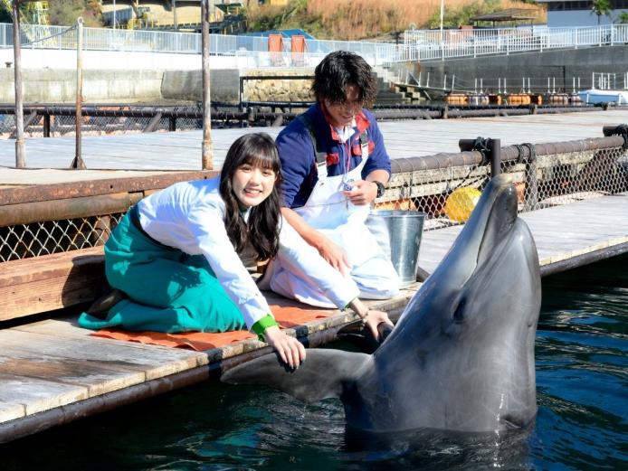 &lt;font color=&quot;#800080&quot;&gt;&lt;strong&gt;うみたま体験パーク 「つくみイルカ島」&lt;/strong&gt;&lt;/font&gt;（津久見市）&lt;br&gt;ダイナミックなイルカのパフォーマンスや動物たちとのふれあい を体験できる施設。イルカと握手したり体に触ったりできるほ か、一緒に泳いだり、「プッシング」という日本でここだけの技 に挑戦できるなど、さまざまなプログラムが用意されています。&lt;hr&gt;&lt;span style=&quot;font-size:14px;&quot;&gt;&lt;strong&gt;【DATA】&lt;/strong&gt;&lt;br /&gt;住所／津久見市四浦2218-10&lt;br&gt;電話／0972-85-3020&lt;br&gt;営業時間／10:00～ 16:00(季節により延長あり)　&lt;br&gt;料金／高校生以上1300円、小・中学生 800円、4歳以上650円&lt;br&gt;休み／1月中旬～2月中旬まではメンテナンス のため休園&lt;br&gt;駐車場／150台&lt;br&gt;交通アクセス／津久見ICから車で約20分&lt;br &gt;&lt;a href=&quot;https://www.tsukumi-irukajima.jp/&quot; target=&quot;_blank&quot;&gt;&lt;font color=&quot;#0033ff&quot;&gt;HPはこちら&lt;/font&gt;&lt;/a&gt;&lt;br&gt;&lt;a href=&quot; https://x.gd/MhYd0&quot; target=&quot;_blank&quot;&gt;&lt;font color=&quot;#0033ff&quot;&gt;MAPはこちら&lt;/font&gt;&lt;/a&gt;&lt;/span&gt;&lt;br&gt;&lt;br&gt;