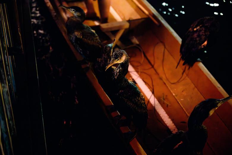 <span style="font-size:12px;">日田の「鵜飼い」は、例年5月20日から10月31日まで行われます。</span><br><br>