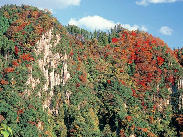 &lt;font color=&quot;#800000&quot;&gt;&lt;strong&gt;響渓谷&lt;/strong&gt;&lt;/font&gt;（日田市）&lt;br&gt;切り立った岩が壮観な雰囲気の響渓谷。秋になるとその岸壁を見事に紅葉が彩ります。特に「奥日田温泉 うめひびき」からは素晴らしい景色を望むことができます。園内には宿や温泉、食事処、梅酒蔵などがあります。&lt;br&gt;&lt;hr&gt;&lt;span style=&quot;font-size:14px;&quot;&gt;【DATA】&lt;br /&gt; 住所／日田市大山町西大山&lt;br&gt;電話／0973-22-2036（日田市観光協会）&lt;br&gt;見頃／10月下旬～11月上旬&lt;br&gt;&lt;a href=&quot;https://www.oidehita.com/archives/529&quot; target=&quot;_blank&quot;&gt;&lt;font color=&quot;#0033ff&quot;&gt;詳細はこちら&lt;/font&gt;&lt;/a&gt;&lt;/span&gt;
