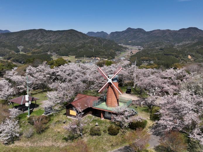 <font color="#EE82EE"><strong>甲尾山公園</strong></font>（杵築市）<br>山香のシンボルである風車が設置されている公園です。山頂には展望台もあり、山香の町から遠くは由布岳を望むことが出来ます。公園内には桜の木があり、お花見をする人が多く訪れます。<hr><span style="font-size:14px;">【DATA】<br />花の種類／桜<br>見頃／3月下旬～4月上旬<br>住所／杵築市山香町大字野原1965番地4外<br>電話／0978-62-1811（杵築市建設課）<br>駐車場／あり<br>アクセス／杵築ICから車で約20分<br><a href="https://www.city.kitsuki.lg.jp/soshiki/1/kensetu/kouen/1965.html" target="_blank"><font color="#0033ff">詳細はこちら</font></a></span>
