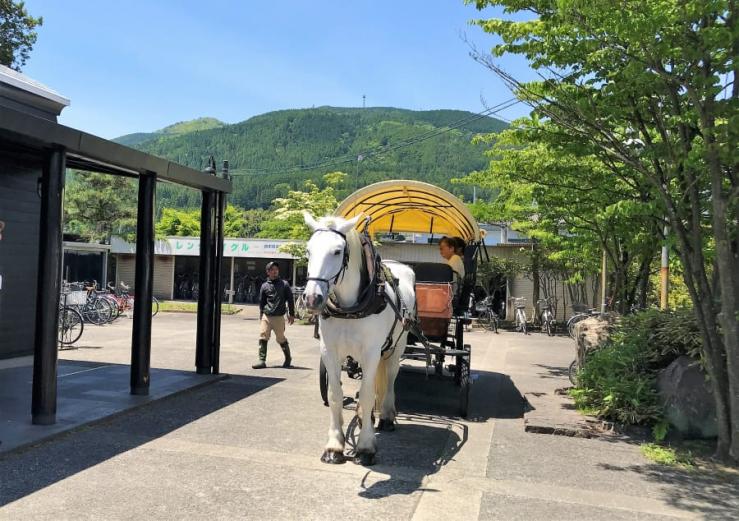 ▲これが辻馬車で。