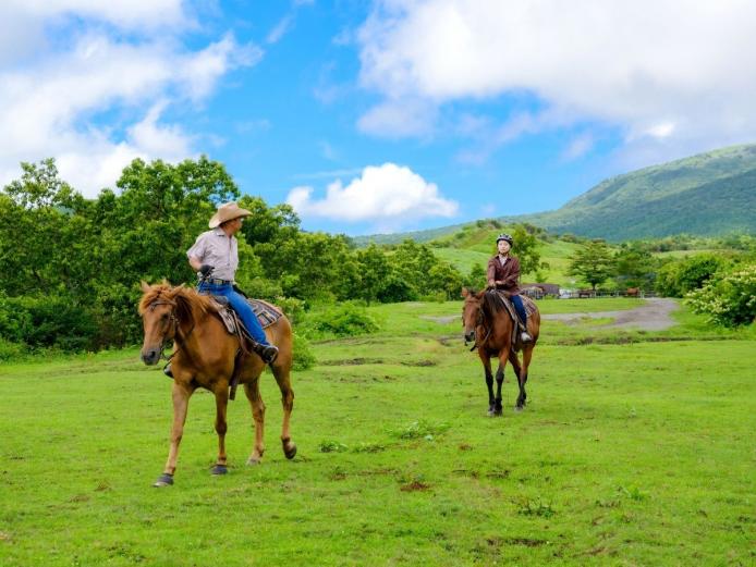 &lt;font color=&quot;#800080&quot;&gt;&lt;strong&gt;ココペリ ウエスタン ライディング&lt;/strong&gt;&lt;/font&gt;（竹田市）&lt;br&gt;初心者から上級者まで、気軽にトレイル(外乗)が楽しめる牧場。 手軽な引き馬から、インストラクターが引率する乗馬、雄大な久 住高原を駆け抜ける本格的なホーストレッキングまでコースの種 類も豊富。大人しい馬なので安心して乗ることができます。&lt;hr&gt;&lt;span style=&quot;font-size:14px;&quot;&gt;&lt;strong&gt;【DATA】&lt;/strong&gt;&lt;br /&gt;住所／竹田市久住町久住4048&lt;br&gt;電話／090-7398-0302&lt;br&gt;営業時間／10:00～17:00&lt;br&gt;料金／ハーフトレイルライド（約30分）：1人乗り 8250円（小学1年生～）、2人乗り 1万450円（未就学児と大人）※ほ か各種コースあり&lt;br&gt;休み／不定 ※悪天候時は休み&lt;br&gt;駐車場／20台&lt;br&gt;交通アクセス／竹田ICから車で約25分&lt;br &gt;&lt;a href=&quot; https://kokopelli-horse.com/&quot; target=&quot;_blank&quot;&gt;&lt;font color=&quot;#0033ff&quot;&gt;HPはこちら&lt;/font&gt;&lt;/a&gt;&lt;br&gt;&lt;a href=&quot;https://x.gd/QtQ8S&quot; target=&quot;_blank&quot;&gt;&lt;font color=&quot;#0033ff&quot;&gt;MAPはこちら&lt;/font&gt;&lt;/a&gt;&lt;/span&gt;&lt;br&gt;&lt;br&gt;