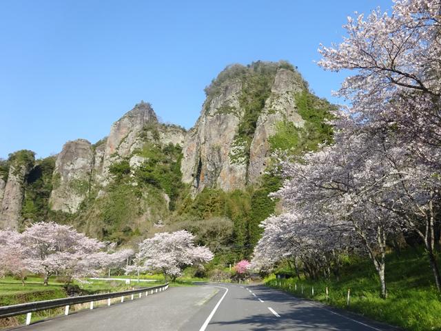 <font color="#EE82EE"><strong>仙の岩</strong></font>（宇佐市）<br>100mの大絶壁平岩や大中小の屏風岩や大巌寺岩窟・奥の仙岩窟などがあり、昔から山岳仏教の聖域となっています。周辺では菜の花や桜が咲き誇ります。<hr><span style="font-size:14px;">【DATA】<br /> 花の種類／菜の花、桜<br>見頃／3月下旬～4月上旬<br>住所／宇佐市安心院町鳥越<br>電話／0978-37-0202（宇佐市観光協会）<br>駐車場／あり<br>アクセス／安心院ICから車で約10分<br><a href=" https://www.city.usa.oita.jp/tourist/touristspot/touristspot2/touristspot3/10161.html" target="_blank"><font color="#0033ff">詳細はこちら</font></a></span>