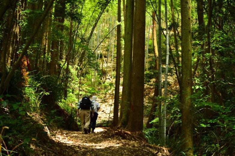 今回は、Ａルート「遠見山ルート」を選択！！がんばりました。（結構ハードでした…）