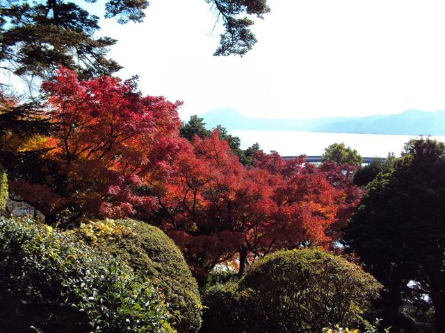&lt;font color=&quot;#800000&quot;&gt;&lt;strong&gt;的山荘庭園&lt;/strong&gt;&lt;/font&gt;（日出町）&lt;br&gt;国指定重要文化財に指定された邸宅内に広がる広大な日本庭園。木々が美しく色づき別府湾を望む絶景と合わせてすばらしい情景がお楽しみいただけます。庭園見学は無料です。&lt;br&gt;&lt;hr&gt;&lt;span style=&quot;font-size:14px;&quot;&gt;【DATA】&lt;br /&gt; 住所／日出町2663&lt;br&gt;電話／0977-72-4255（ひじ町ツーリズム協会）&lt;br&gt;見頃／11月下旬～12月上旬&lt;br&gt;&lt;a href=&quot;http://tekizanso.com/&quot; target=&quot;_blank&quot;&gt;&lt;font color=&quot;#0033ff&quot;&gt;詳細はこちら&lt;/font&gt;&lt;/a&gt;&lt;/span&gt;