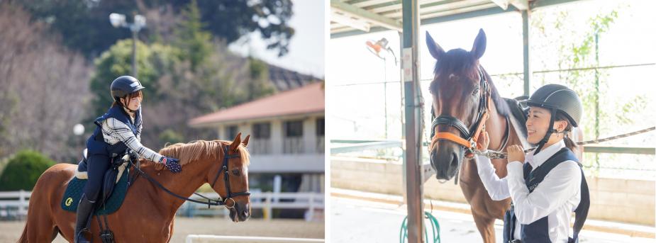 健康維持や新しい趣味として人気の乗馬。運動が苦手な方にもオススメで、“全身運動”や“姿勢矯正”、馬との触れ合いによる癒やし効果も抜群。全国展開している『乗馬クラブクレイン』では「乗馬スクール」を実施中です。初めての方にも馬との触れ合い方から丁寧に指導してくれるので安心です。<br>