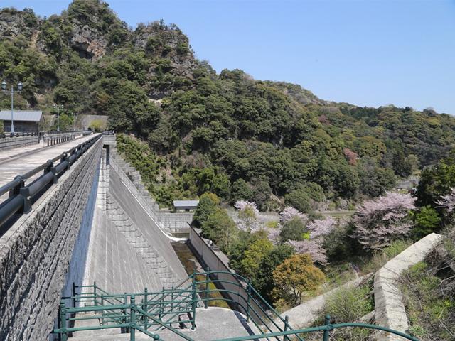 <font color="#EE82EE"><strong>行入ダム</strong></font>（国東市）<br>ダム周辺では、春は桜や菜の花、秋は紅葉･･･と四季折々の自然が楽しめます。ダム湖の周りは約3kmほどあり、展望広場やパークゴルフ場が整備され、のんびり過ごせます。<hr><span style="font-size:14px;">【DATA】<br /> 花の種類／桜、菜の花<br>見頃／3月下旬～4月上旬<br>住所／国東市国東町横手<br>電話／0978-73-0962（国東市観光協会）<br>駐車場／6台<br>アクセス／杵築ICから車で約30分<br><a href="https://visit-kunisaki.com/spot/gonyudam/" target="_blank"><font color="#0033ff">詳細はこちら</font></a></span>