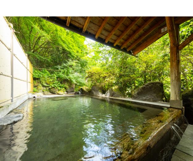 <span style="font-size:18px;"><a href="https://www.visit-oita.jp/spots/detail/9378"target="_blank"><font color="#0033ff">ほたるとかじかの宿 旅館 九重</font></a></span>