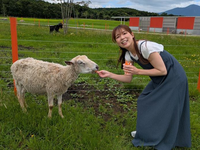 <font color="#800080"><strong> NU：KUJU （ヌークジュー）</strong></font>（九重町）<br> 2025年7月にオープンした『NU：KUJU』。広大な敷地には、羊やヤギの自由放牧エリアやフラワーガーデン、ドッグラン、展望台、レストラン、ショップなどが 点在しています。羊やヤギ、ウサギたちへの「エサやり」が体験できます。<hr><span style="font-size:14px;"><strong>【DATA】</strong><br />住所／玖珠郡九重町田野1681-14 <br>電話／0973-73-0080 <br>営業時間／9:00～17:00 <br>休み／水曜（GW、夏休みは無休）、12月中旬～3月上旬<br>駐車場／350台<br>交通アクセス／九重ICから車で約30分<br ><a href=" https://nu-kuju.jp/" target="_blank"><font color="#0033ff">HPはこちら</font></a><br><a href=" https://x.gd/78PJR" target="_blank"><font color="#0033ff">MAPはこちら</font></a></span><br><br>