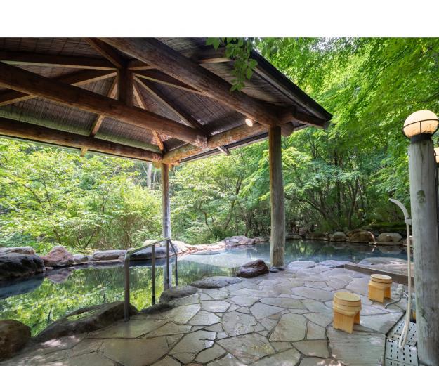 <span style="font-size:18px;"><a href="https://www.visit-oita.jp/spots/detail/9385"target="_blank"><font color="#0033ff">スターダストヴィレッジ星生</font></a></span>