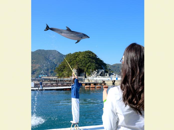 ▲青空をバックに行われるダイナミックなジャンプや技に感動