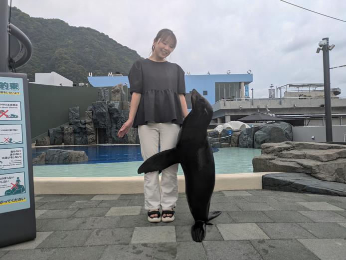 オットセイがピタリとハグしてくれます☆　
