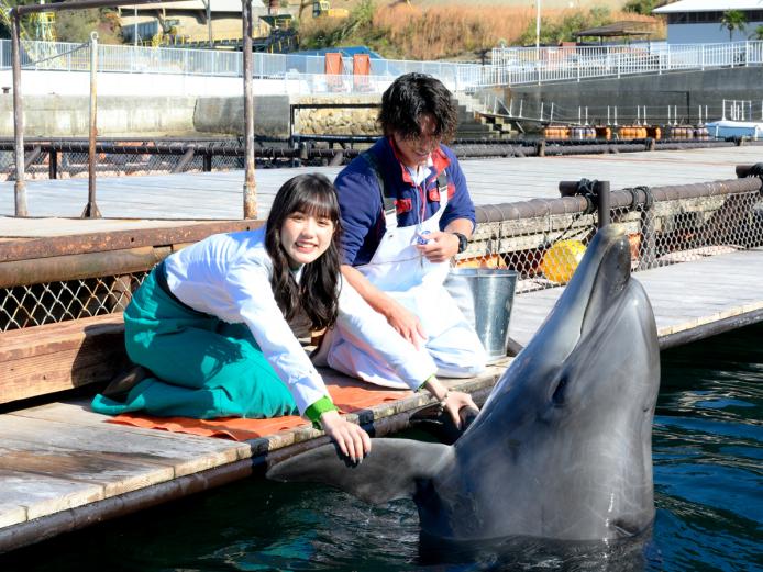▲トレーナー気分でイルカと仲良くできる「イルカとあそぼ！」