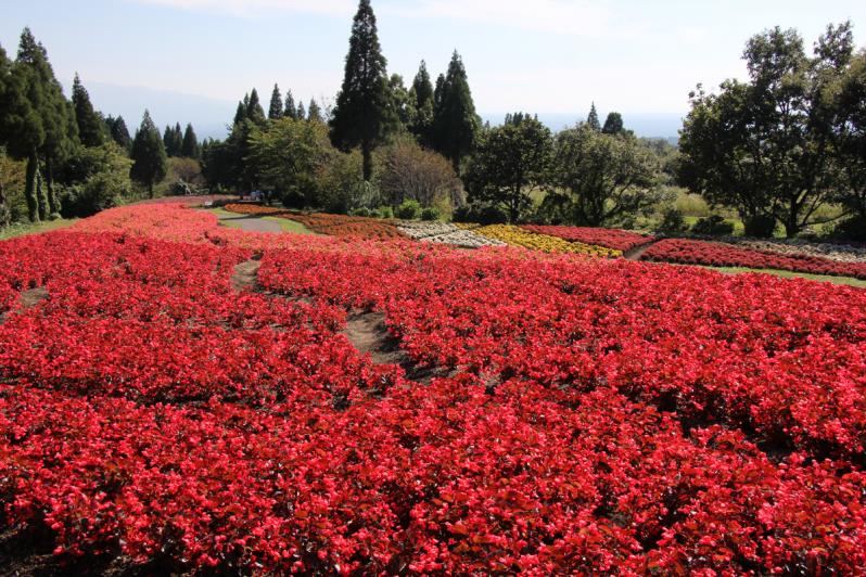 花公園遠景