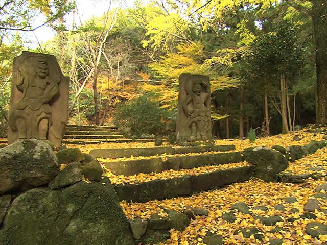 &lt;font color=&quot;#800000&quot;&gt;&lt;strong&gt;旧千燈寺跡&lt;/strong&gt;&lt;/font&gt;（国東市）&lt;br&gt;かつて「西の高野山」と呼ばれ、六郷満山の中核をなす寺院として栄えた「旧千燈寺」の史跡は、仁聞菩薩の墓と伝わる国東塔や半肉彫りの仁王像など、見どころが多くあります。紅葉の名所とも知られ、多くの方が訪れます。&lt;br&gt;&lt;hr&gt;&lt;span style=&quot;font-size:14px;&quot;&gt;【DATA】&lt;br /&gt; 住所／国東市国見町大字千燈&lt;br&gt;電話／0978-72-5168（国東市観光・地域産業創造課）&lt;br&gt;見頃／11月下旬～12月上旬&lt;br&gt;&lt;a href=&quot;http://visit-kunisaki.com/spot/%E6%97%A7%E5%8D%83%E7%87%88%E5%AF%BA%E8%B7%A1/&quot; target=&quot;_blank&quot;&gt;&lt;font color=&quot;#0033ff&quot;&gt;詳細はこちら&lt;/font&gt;&lt;/a&gt;&lt;/span&gt;