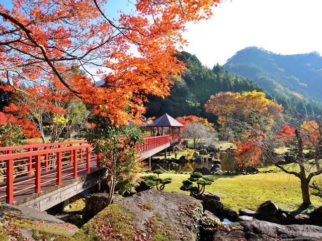 &lt;font color=&quot;#800000&quot;&gt;&lt;strong&gt;耶馬溪ダム記念公園 溪石園&lt;/strong&gt;&lt;/font&gt;（中津市）&lt;br&gt;耶馬溪ダムの完成記念に造られた広さ2万㎡の日本庭園。数万個の石、ダムの水を利用して耶馬溪の渓流を再現し、樹木に池、岩、滝などが配置された美しい景観が広がります。特に紅葉の季節は圧巻の美しさです。&lt;br&gt;&lt;hr&gt;&lt;span style=&quot;font-size:14px;&quot;&gt;【DATA】&lt;br /&gt; 住所／中津市耶馬溪町大字大島2286−1&lt;br&gt;電話／0979-54-3111（中津市耶馬溪支所地域振興課）&lt;br&gt;見頃／10月下旬～11月中旬&lt;br&gt;&lt;a href=&quot;https://nakatsuyaba.com/pages/183/&quot; target=&quot;_blank&quot;&gt;&lt;font color=&quot;#0033ff&quot;&gt;詳細はこちら&lt;/font&gt;&lt;/a&gt;&lt;/span&gt;