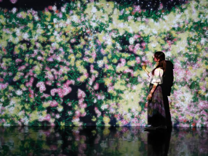 ▲国東半島に生息している花々がモチーフ。ちょうど1時間で1年間の花々が移り変わっていく