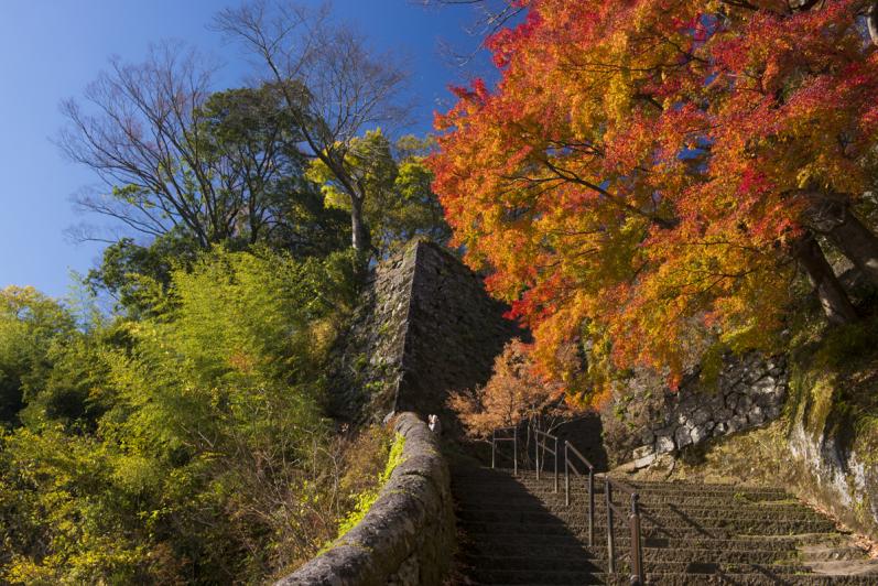 岡城跡紅葉