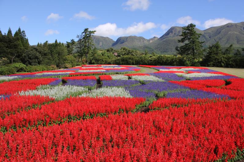 花公園遠景2